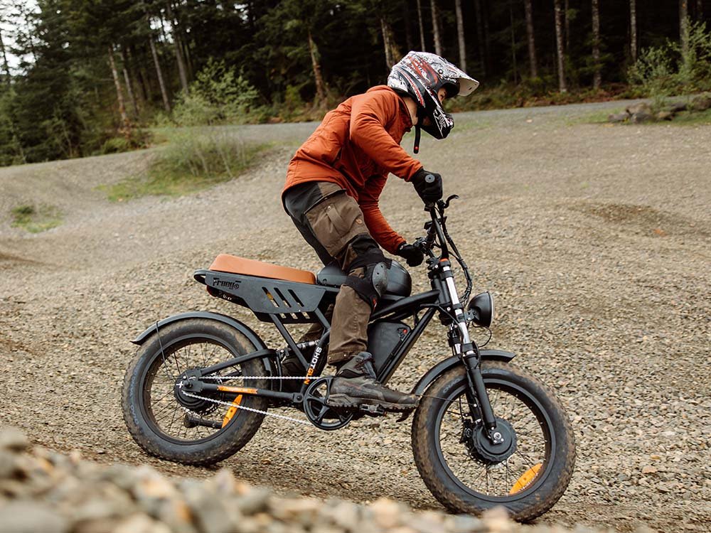 Freego Flash F3 Pro Dual Motor and Battery eBike
