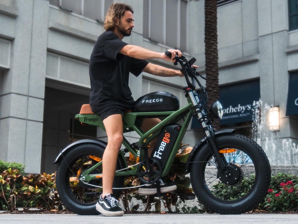 Freego Flash F3 Pro Dual Motor and Battery eBike