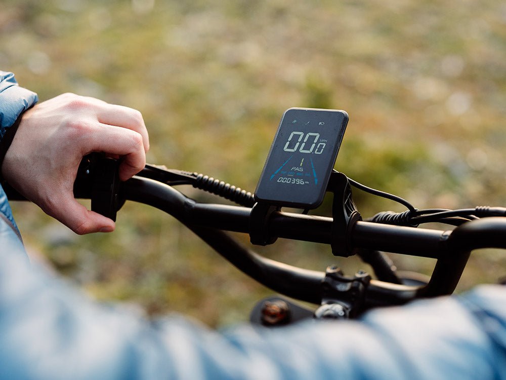 Freego Flash F3 Pro Max Dual Motor and Battery eBike