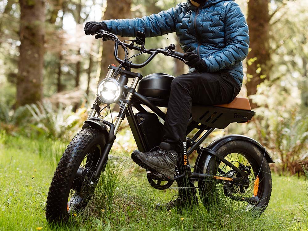 Freego Flash F3 Pro Max Dual Motor and Battery eBike