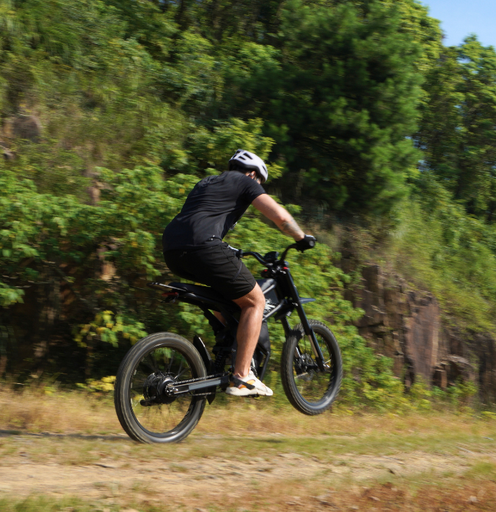 Riding Times GT73 /PRO Electric Motorbike