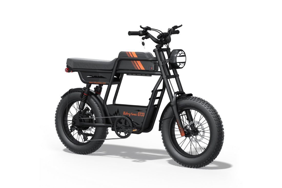 eWheelHub,Riding Times GT33,Cargo electric bike with single battery