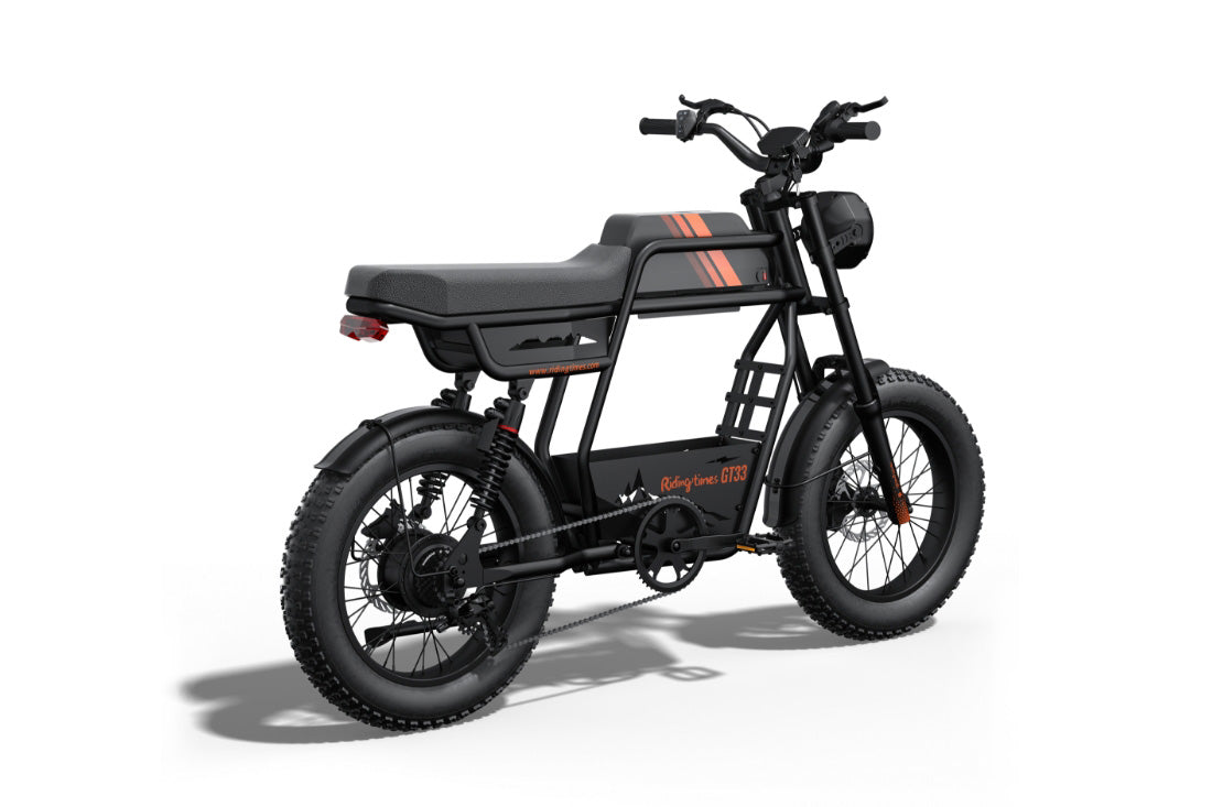 eWheelHub,Riding Times GT33,Cargo electric bike with single battery