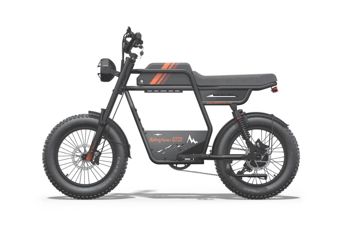 eWheelHub,Riding Times GT33,Cargo electric bike with single battery