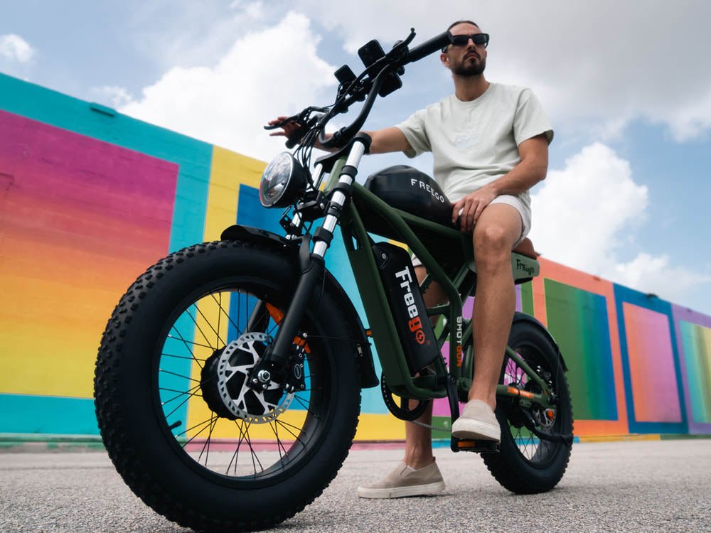 Freego Flash F3 Pro Dual Motor and Battery eBike