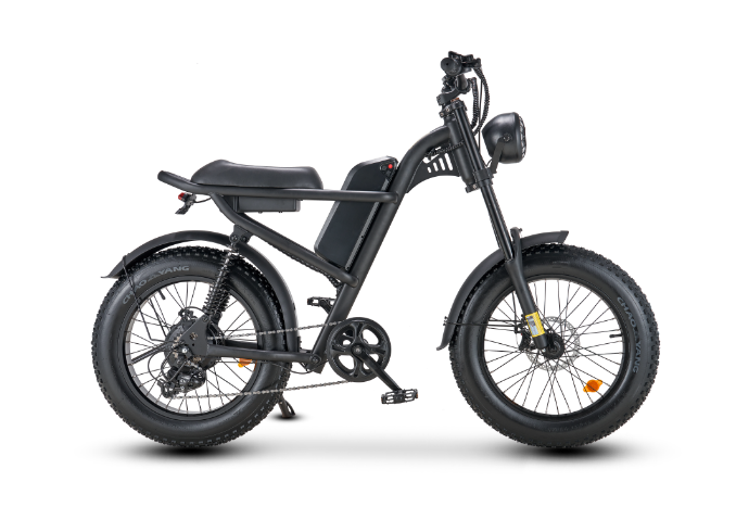 Z8 Electric Bike